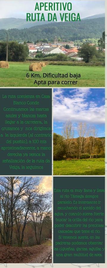 El Camino Apartman Laza Kültér fotó